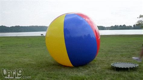 bouncy balls gif|100+ Free Bouncing Balls & Ball animated GIFs and Stickers